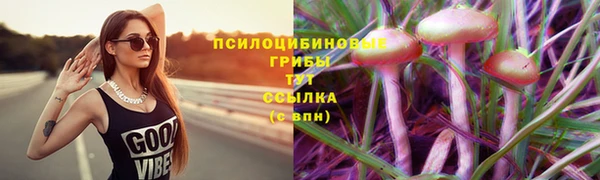 винт Балахна